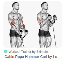 Cable Hammer Curl